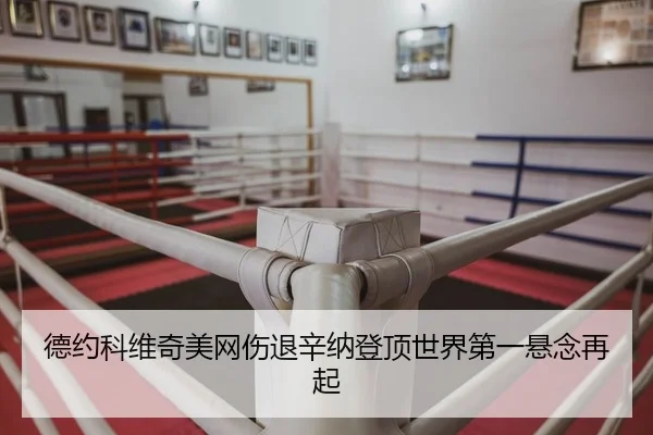 de-yue-ke-wei-qi-mei-wang-shang-tui-xin-na-deng-ding-shi-jie-di-yi-xuan-nian-zai-qi-1-178.jpg